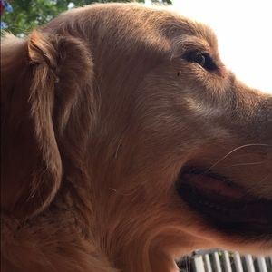 Meet your Posher, Miranda